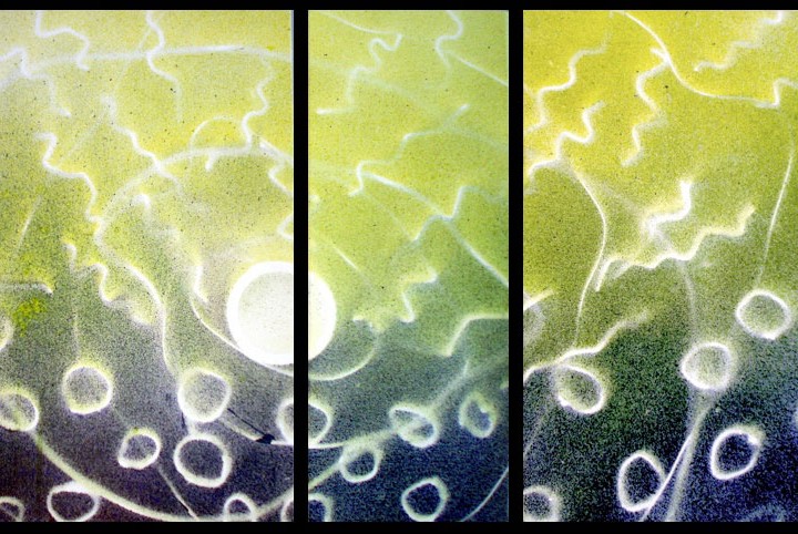 Acqua